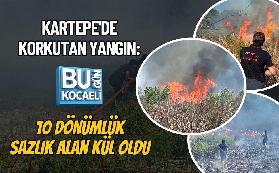 YAZ GELDİ YANGINLAR BAŞLADI! KARTEPE'DE KORKUTAN YANGIN: 10 DÖNÜMLÜK SAZLIK ALAN KÜL OLDU