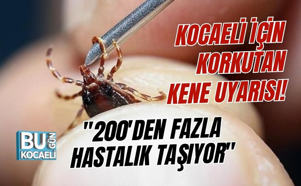 KOCAELİ İÇİN KORKUTAN KENE UYARISI! "200'DEN FAZLA HASTALIK TAŞIYOR"
