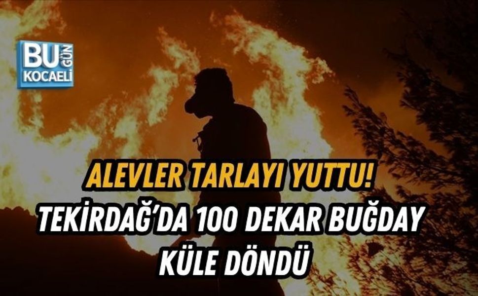 ALEVLER TARLAYI YUTTU! TEKİRDAĞ’DA 100 DEKAR BUĞDAY KÜLE DÖNDÜ