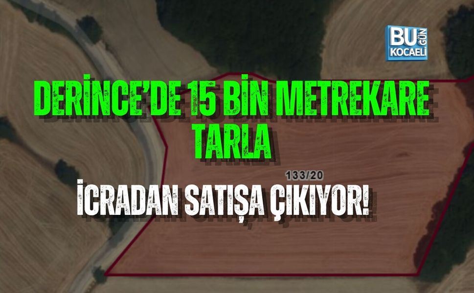 DERİNCE’DE 15 BİN METREKARE TARLA İCRADAN SATIŞA ÇIKIYOR!