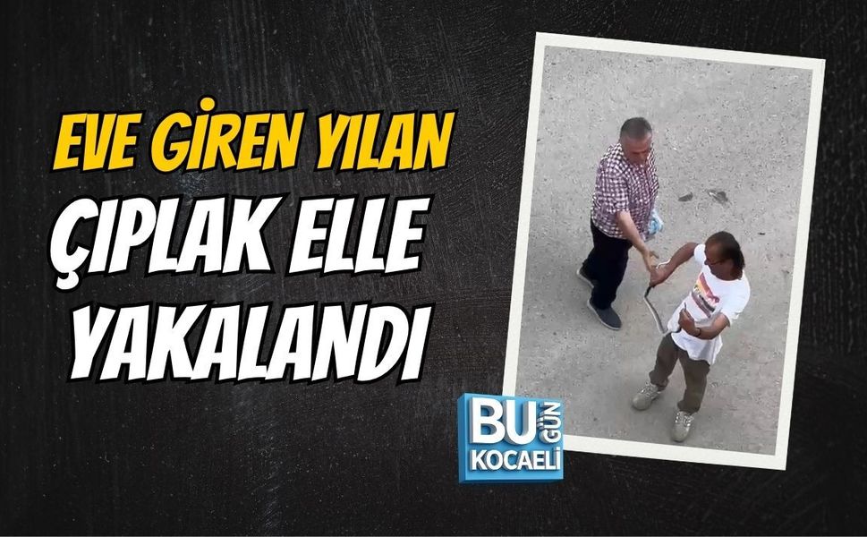 EVE GİREN YILAN ÇIPLAK ELLE YAKALANDI