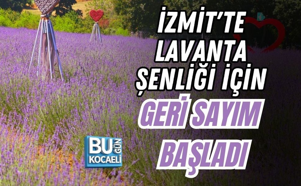 İZMİT'TE LAVANTA ŞENLİĞİ İÇİN GERİ SAYIM BAŞLADI
