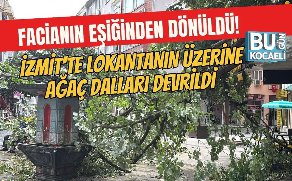 İZMİT'TE LOKANTANIN ÜZERİNE AĞAÇ DALLARI DEVRİLDİ FACİANIN EŞİĞİNDEN DÖNÜLDÜ!