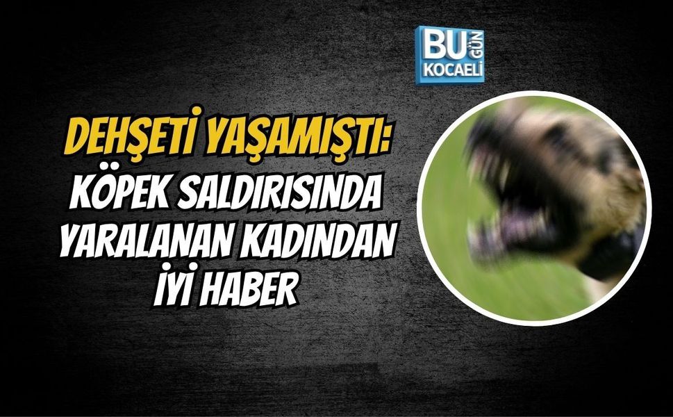 DEHŞETİ YAŞAMIŞTI: KÖPEK SALDIRISINDA YARALANAN KADINDAN İYİ HABER