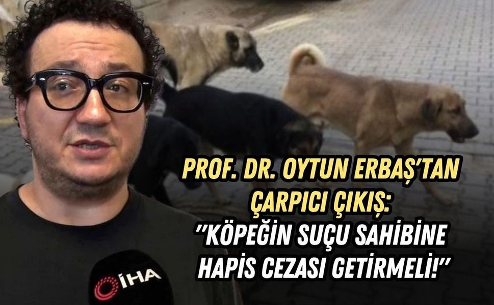 PROF. DR. OYTUN ERBAŞ'TAN ÇARPICI ÇIKIŞ: "KÖPEĞİN SUÇU SAHİBİNE HAPİS CEZASI GETİRMELİ!"