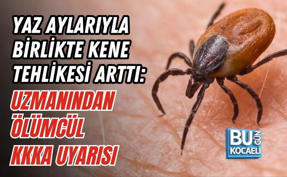 YAZ AYLARIYLA BİRLİKTE KENE TEHLİKESİ ARTTI: UZMANINDAN ÖLÜMCÜL KKKA UYARISI