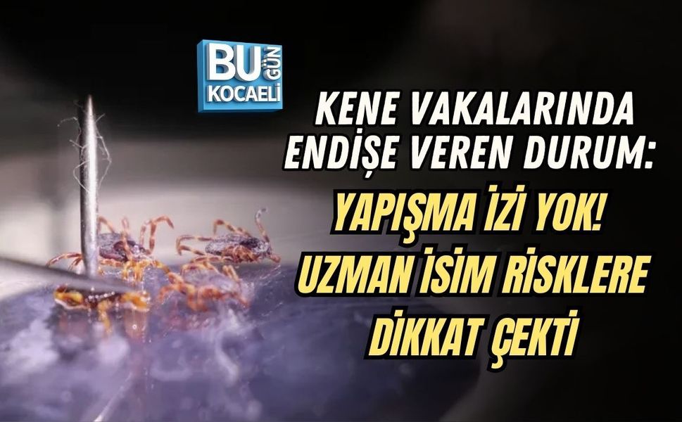 KENE VAKALARINDA ENDİŞE VEREN DURUM: YAPIŞMA İZİ YOK! UZMAN İSİM RİSKLERE DİKKAT ÇEKTİ