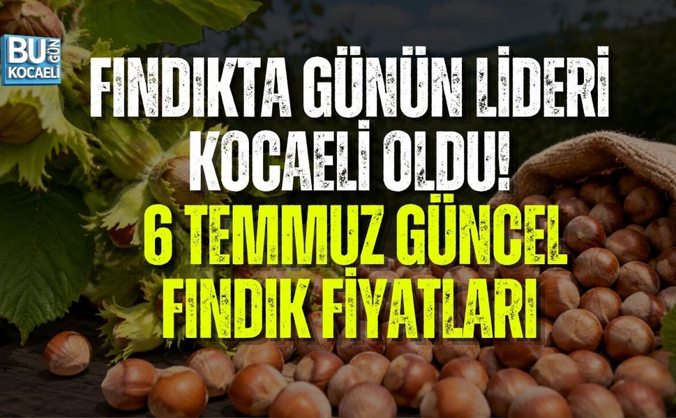 FINDIKTA GÜNÜN LİDERİ KOCAELİ OLDU! 6 TEMMUZ GÜNCEL FINDIK FİYATLARI