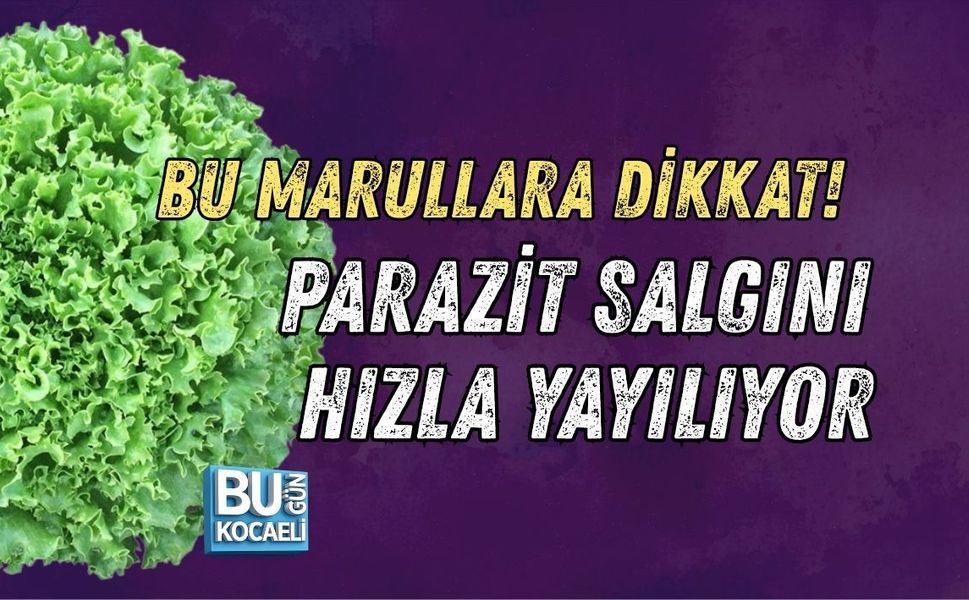BU MARULLARA DİKKAT! PARAZİT SALGINI EYALET EYALET YAYILIYOR