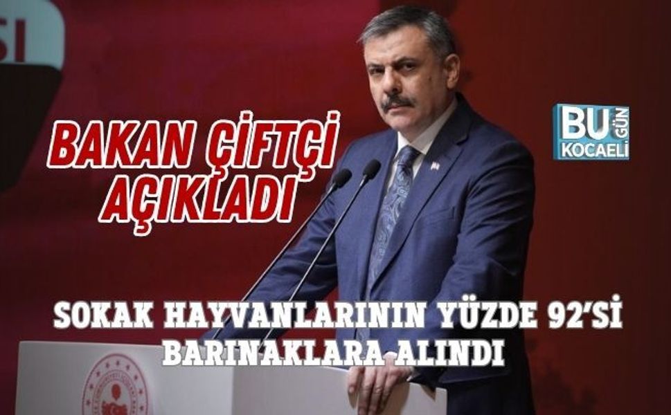 BAKAN ÇİFTÇİ AÇIKLADI: SOKAK HAYVANLARININ YÜZDE 92’Sİ BARINAKLARA ALINDI