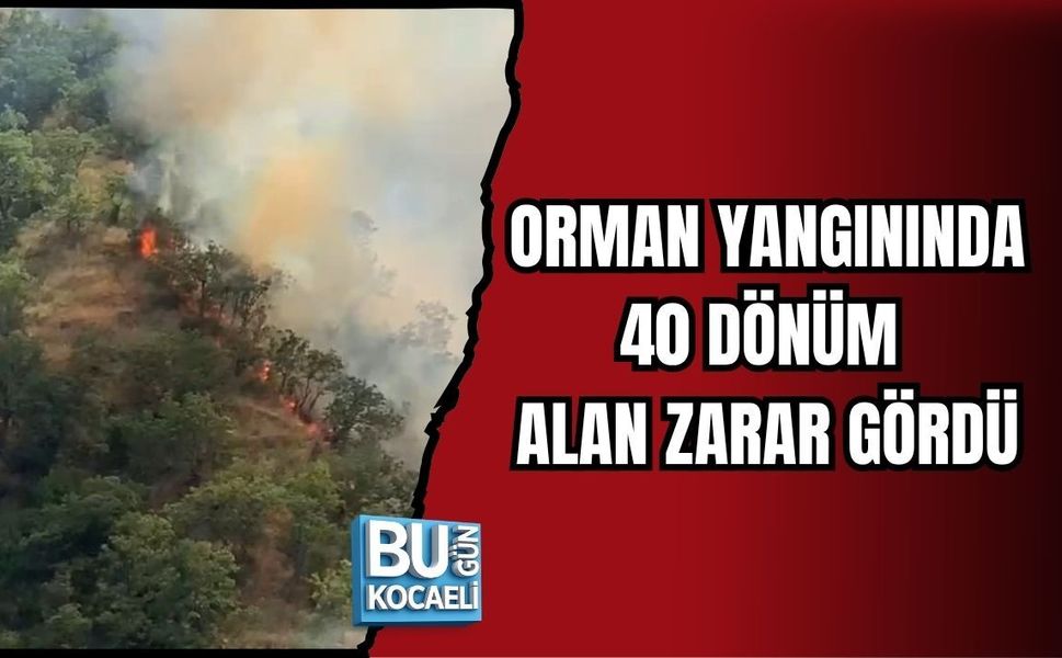 ORMAN YANGININDA 40 DÖNÜM ALAN ZARAR GÖRDÜ