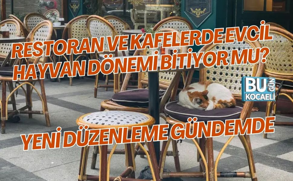 RESTORAN VE KAFELERDE EVCİL HAYVAN DÖNEMİ BİTİYOR MU? YENİ DÜZENLEME GÜNDEMDE